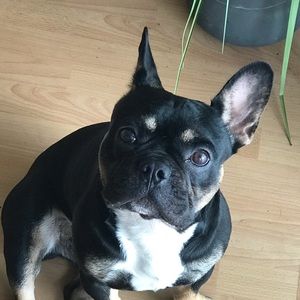 Meet your Posher, Julian